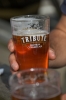 Tribute Premium Cornish Ale